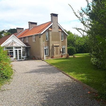 던레러 The Dell Dublin B&B 외부 사진