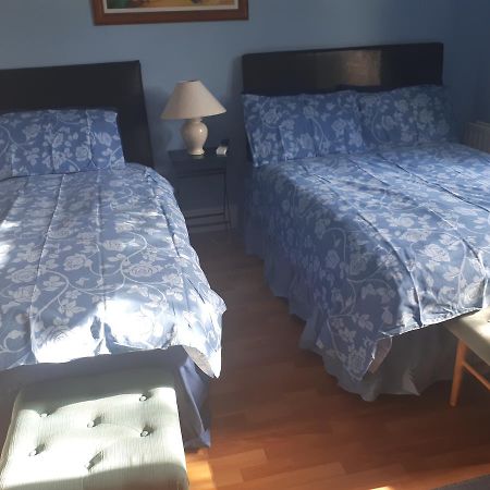 던레러 The Dell Dublin B&B 외부 사진