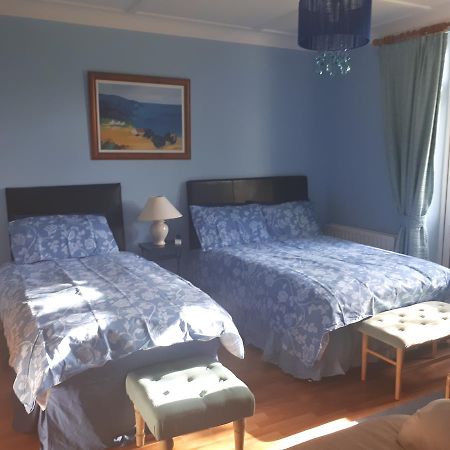 던레러 The Dell Dublin B&B 외부 사진