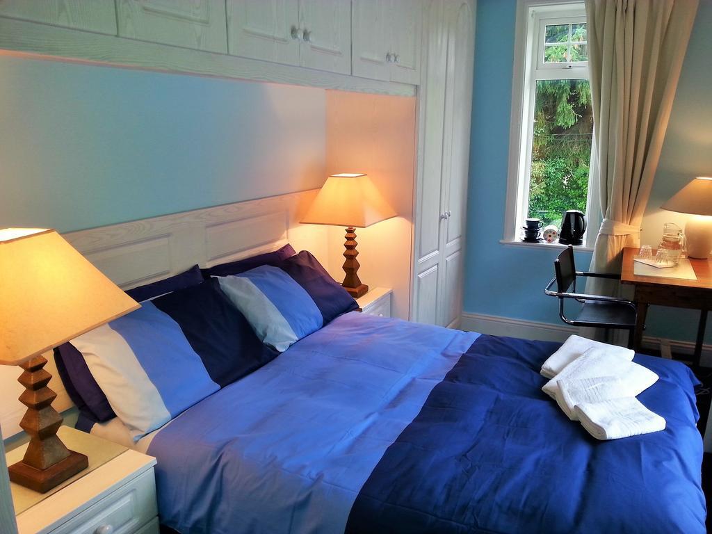 던레러 The Dell Dublin B&B 객실 사진