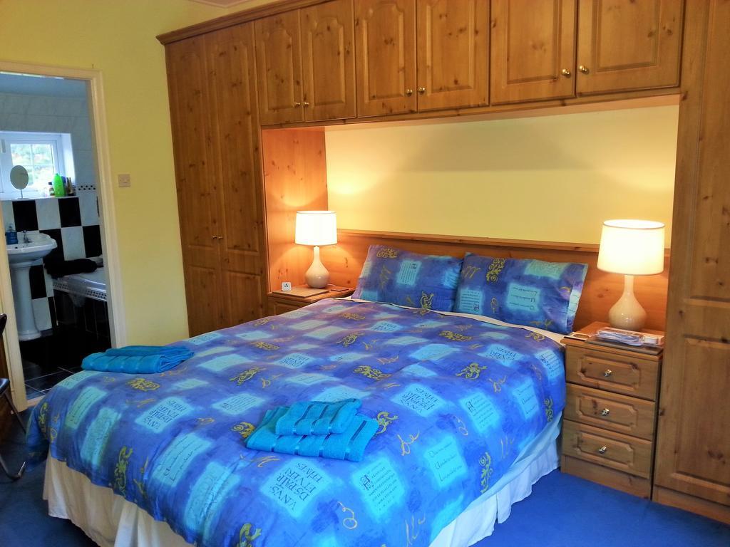 던레러 The Dell Dublin B&B 객실 사진