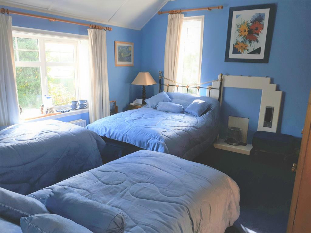 던레러 The Dell Dublin B&B 외부 사진