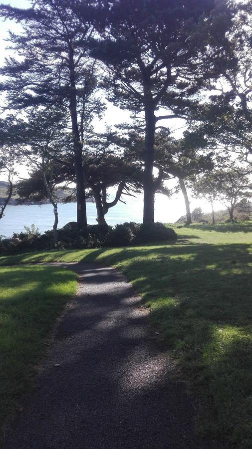 던레러 The Dell Dublin B&B 외부 사진