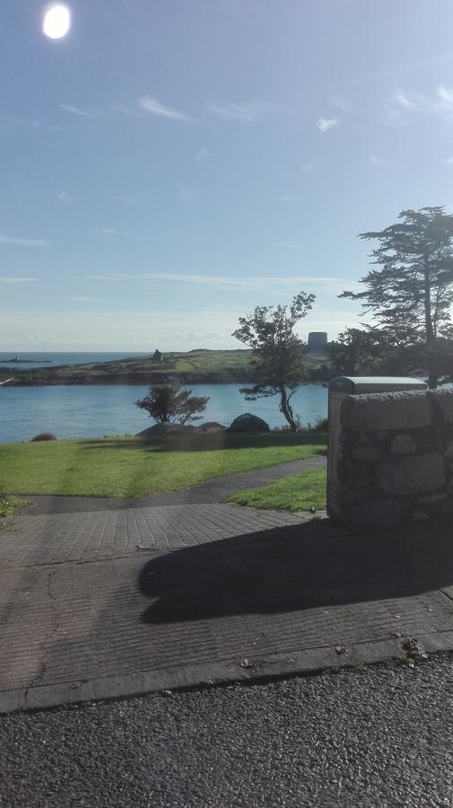 던레러 The Dell Dublin B&B 외부 사진